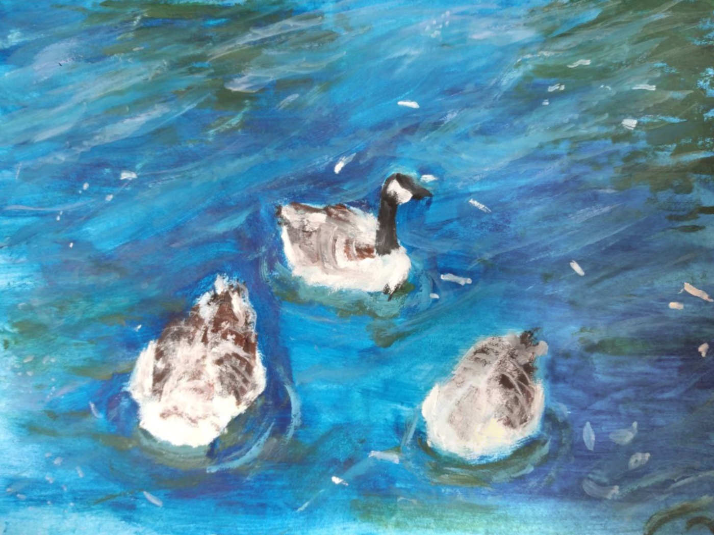 Канадские Гуси ловят Рыбу (Гуашь)