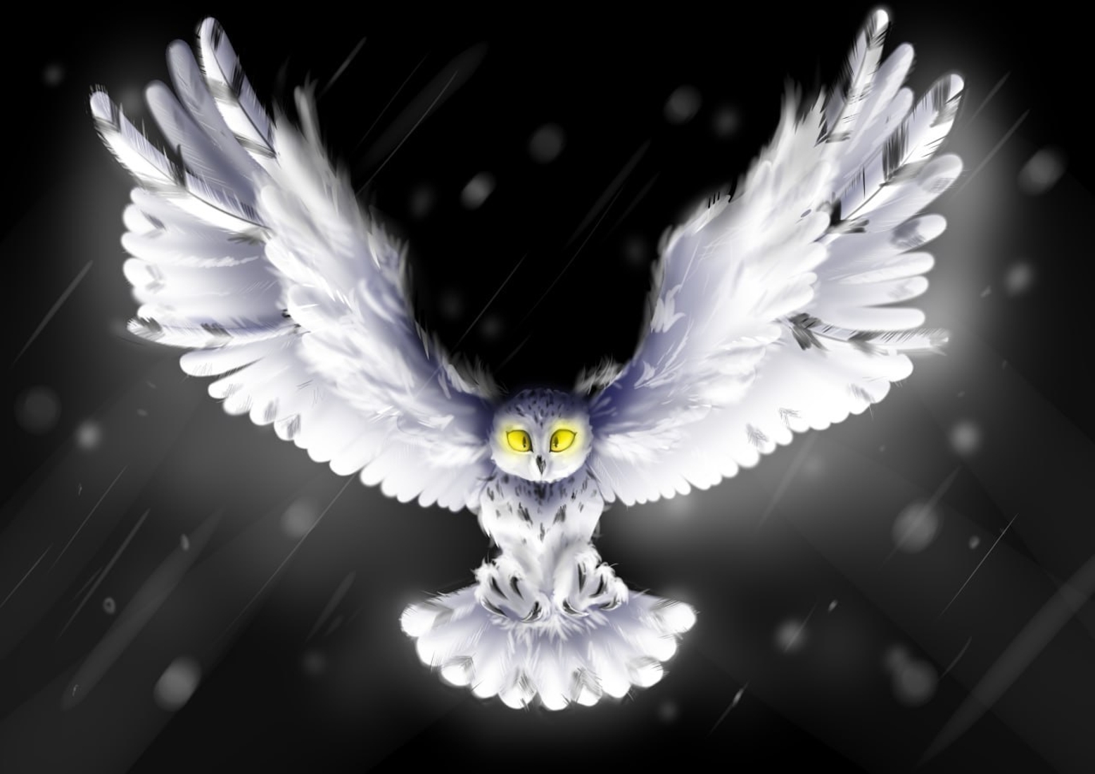 Ночная Сова (Цифровой Арт)